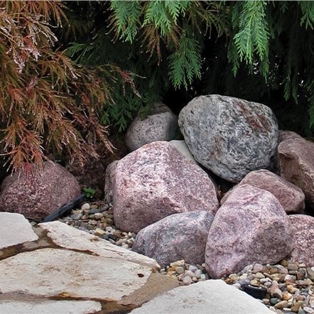 Canadian Cobbles Under Tree